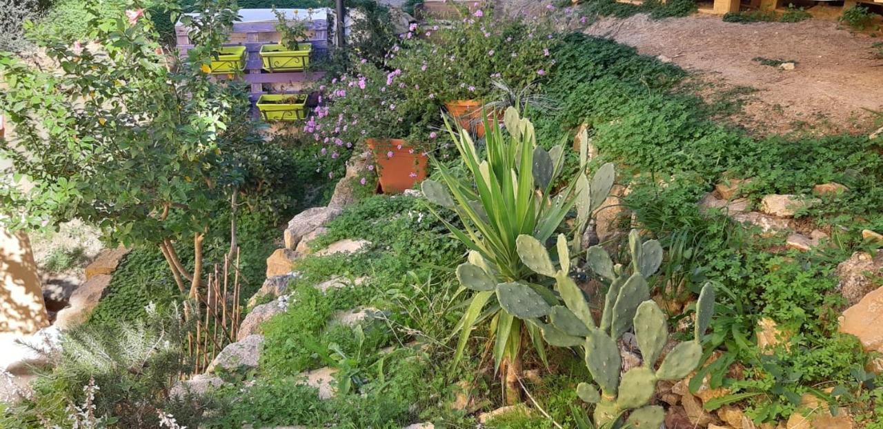 Il Moro Di Sicilia Apartment Termini Imerese Bagian luar foto